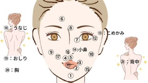 ニキビ 占い 恋愛|ニキビ占い！当たるニキビの場所で分かる占い【完全 .